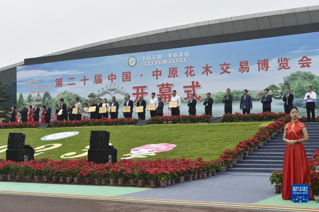 大连穷胡麻将电脑下载
